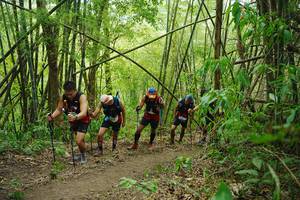 BIB: 
                            <button type="button" onclick="openModal(22242041)" class="btn btn-primary btn-sm float-right btn-popup" data-toggle="modal" data-target=".modal-high-quality">
                        <i class="fas fa-shopping-cart"></i> Add to Cart
                    </button>
                                            <button type="button" onclick="isThisMe(22242041, true)" class="btn btn-success btn-sm float-right btn-popup btn-isme hidden" data-toggle="tooltip" data-placement="bottom" title="นี่คือรูปของคุณใช่ไหม คลิกที่นี่เพื่อเอาเข้าอัลบั้ม">
                        <i class="fas fa-plus"></i> Add to album
                    </button>
                    <button type="button" onclick="isThisMe(22242041, false)" class="btn btn-warning btn-sm float-right btn-popup btn-isnotme hidden">
                        <i class="fas fa-ban"></i> Remove from album
                    </button>